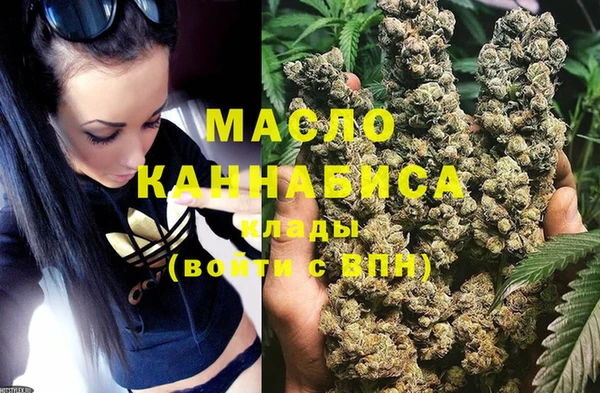 индика Белокуриха