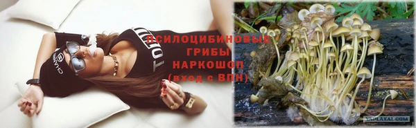 шишки Беломорск
