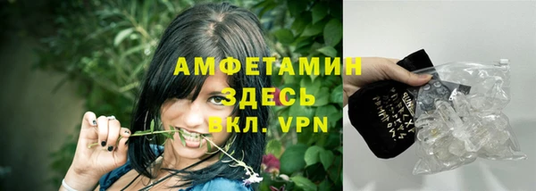 индика Белокуриха