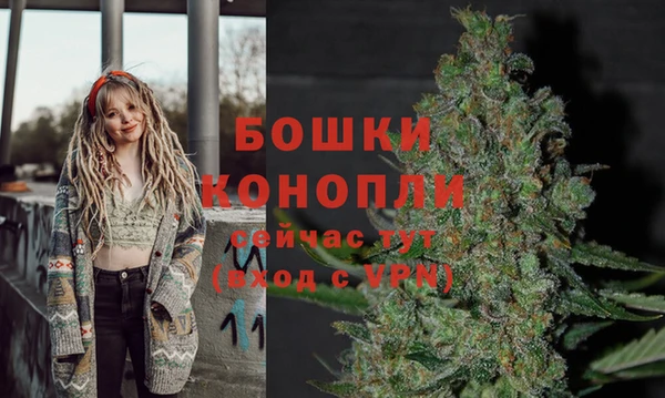 a pvp Богданович