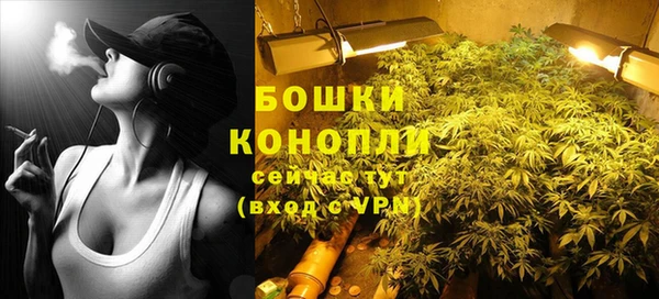 молекула духа Белоозёрский
