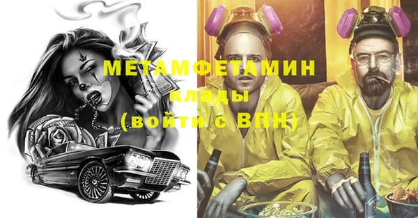 шишки Беломорск