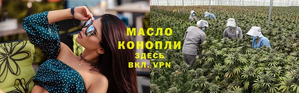 индика Белокуриха