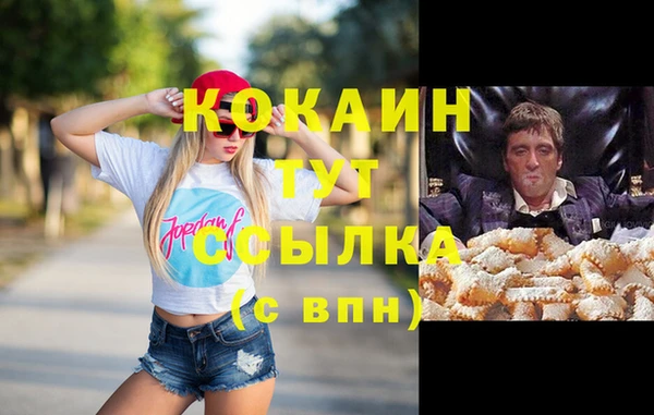 тгк Богородицк