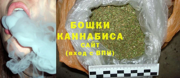 молекула духа Белоозёрский