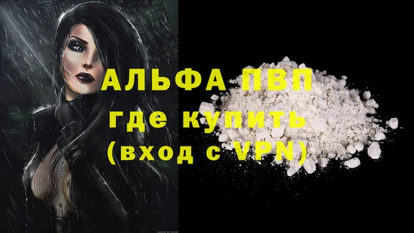 индика Белокуриха