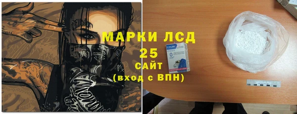 шишки Беломорск