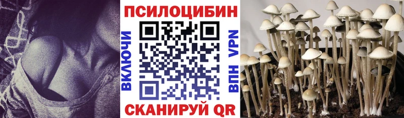 Псилоцибиновые грибы GOLDEN TEACHER Батайск